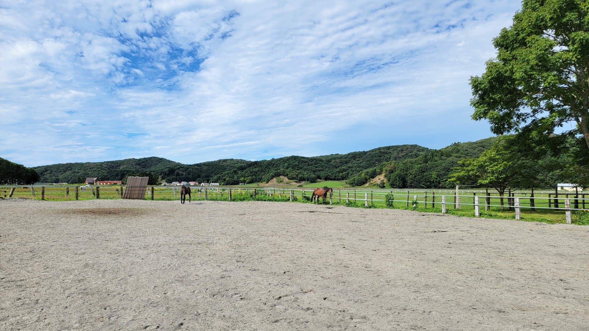 7582df7d1506e2df2354d417a02560e0-1760934108.jpg 7582df7d1506e2df2354d417a02560e0-1760934108.jpg